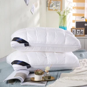 2-Piece Luxury Hotel Pillows